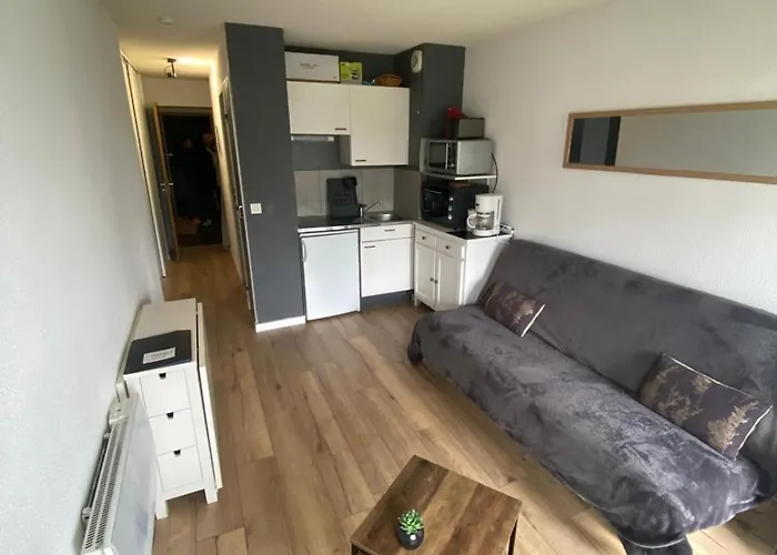 Moderne Situe Au Pied Des Pistes Apartment *